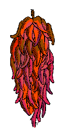 Rista Chef Emile Stieffel