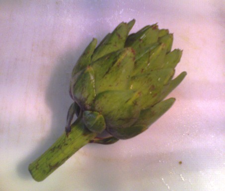 hot spinach-artichoke dip,